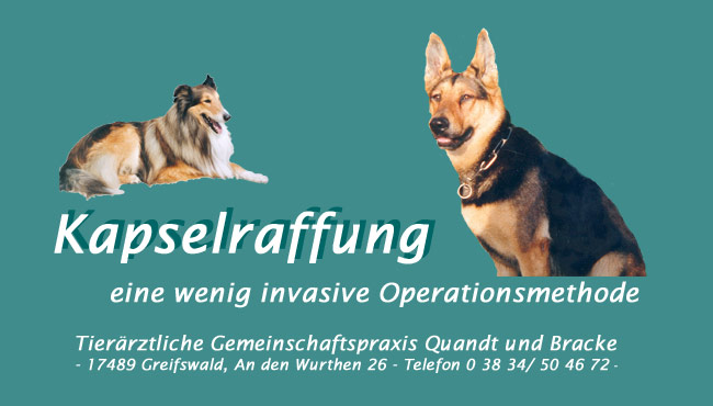 Sitetitel und Anschrift